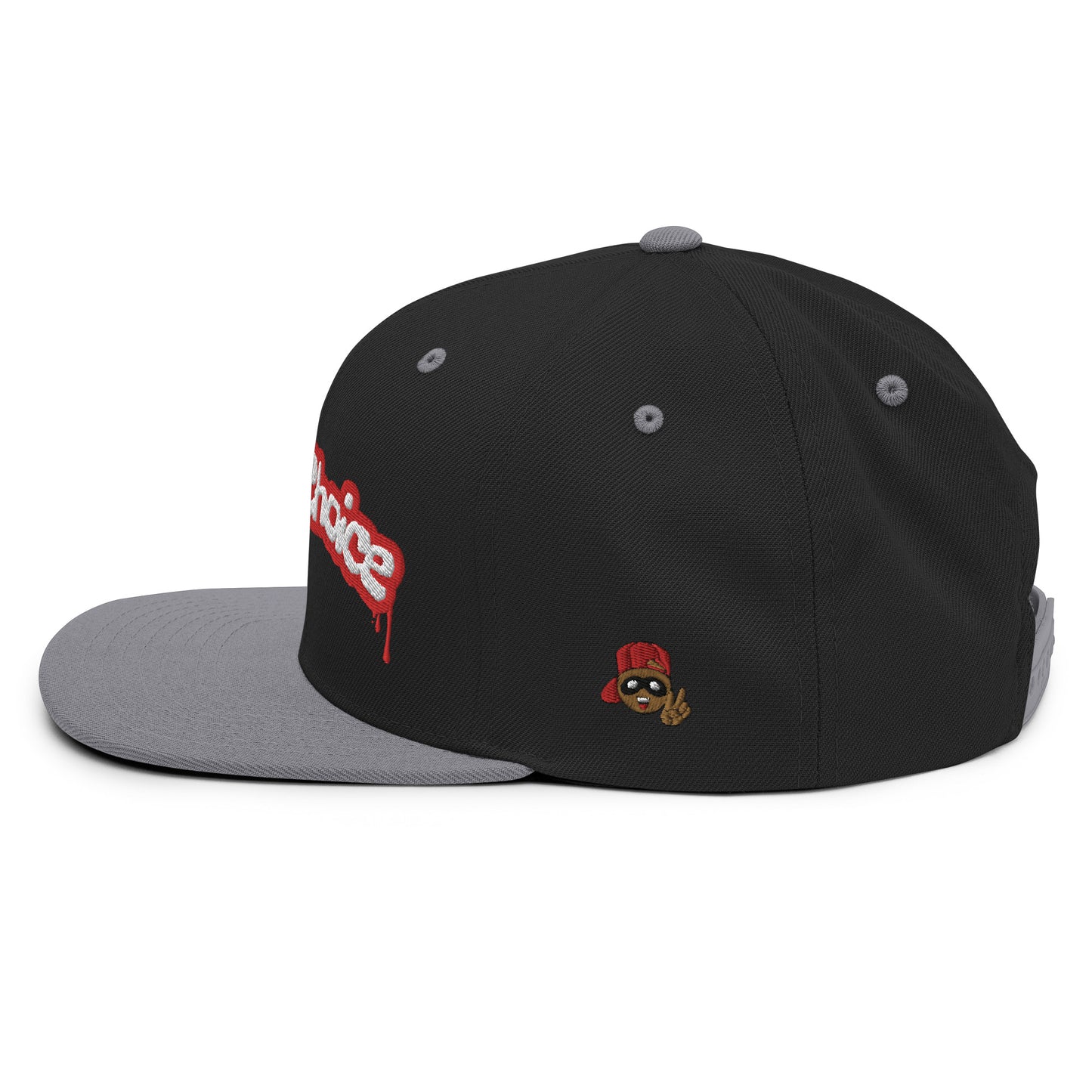 A Wisechoice Snapback Hat