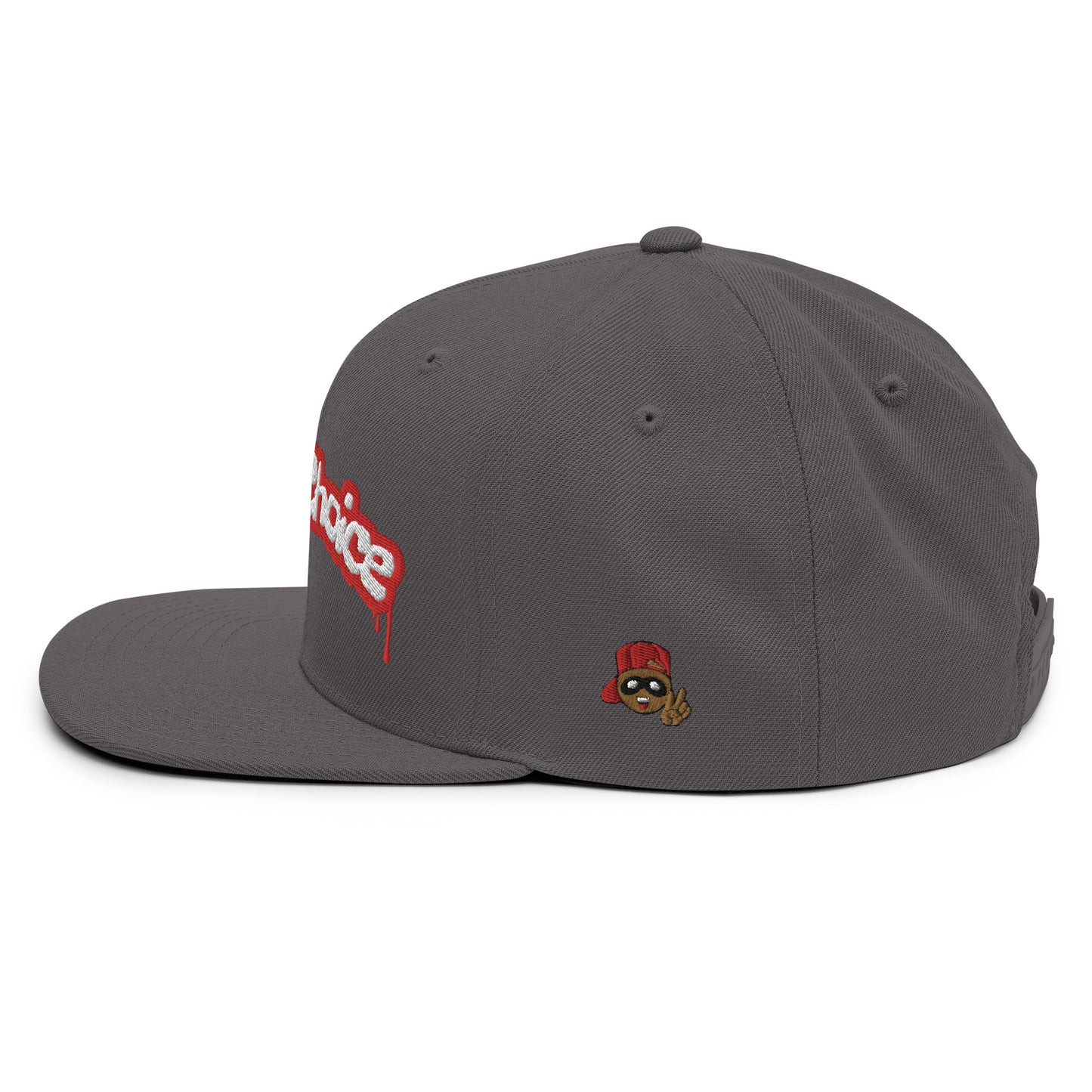 A Wisechoice Snapback Hat