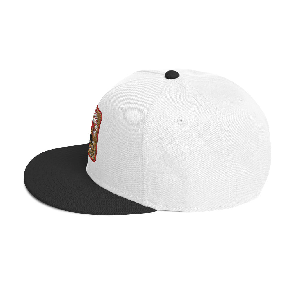 A Wise Choice Snapback Hat